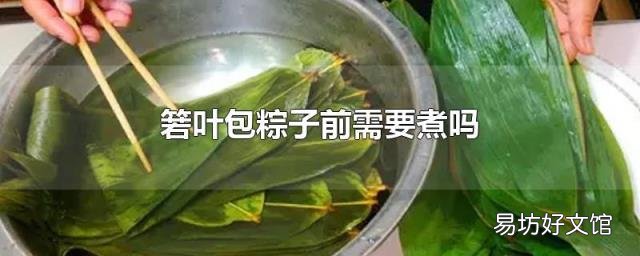 箬叶包粽子前需要煮吗