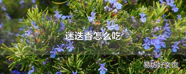 迷迭香怎么吃
