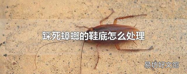 踩死蟑螂的鞋底怎么处理