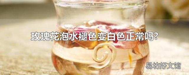 玫瑰花泡水褪色变白色正常吗?