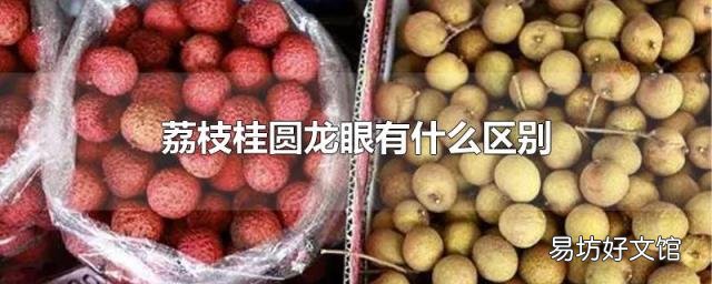 荔枝桂圓龍眼有什么區別
