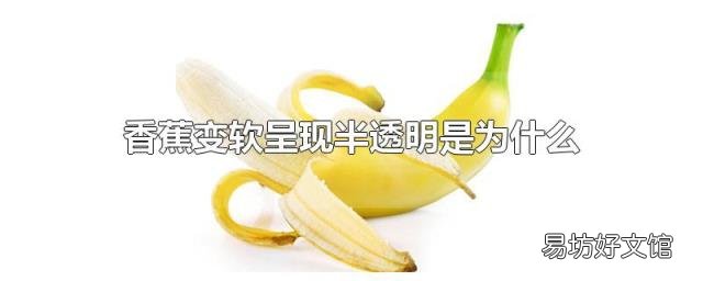 香蕉变软呈现半透明是为什么