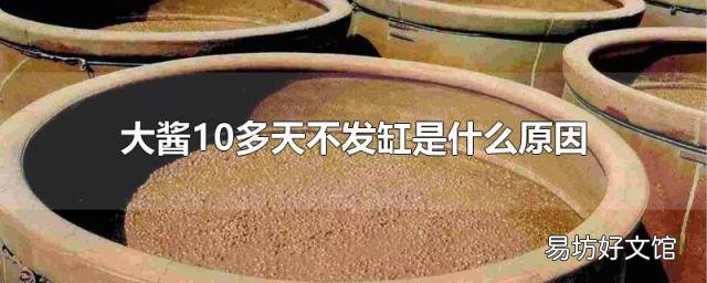 大酱10多天不发缸是什么原因