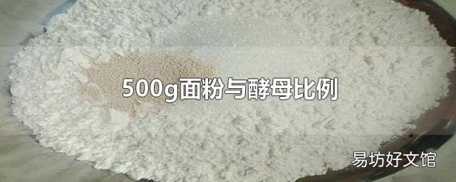 500g面粉与酵母比例