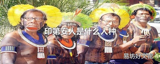 印第安人是什么人种
