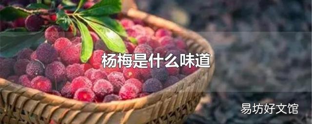 杨梅是什么味道