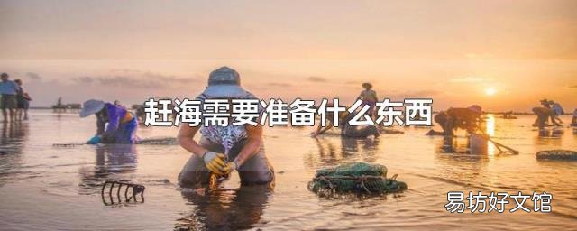 赶海需要准备什么东西