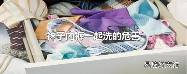 袜子内裤一起洗的危害