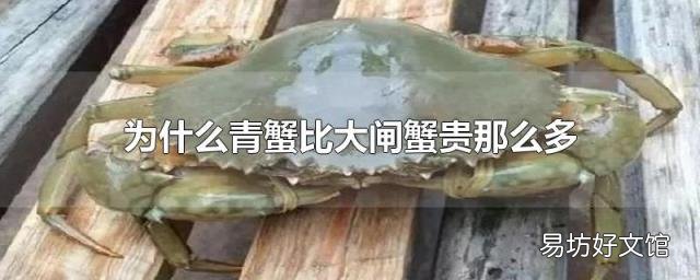 为什么青蟹比大闸蟹贵那么多
