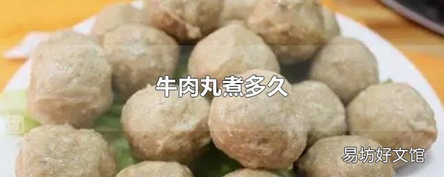 牛肉丸煮多久
