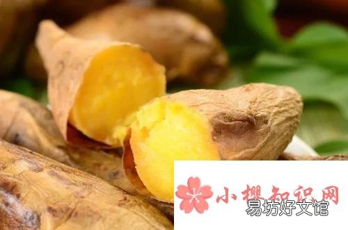 吃红薯减肥还是发胖