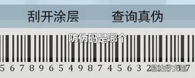 防伪码是哪个