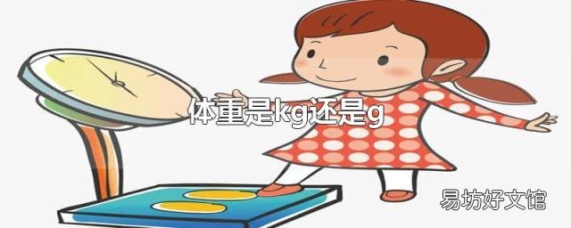 体重是kg还是g