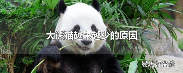 大熊猫越来越少的原因