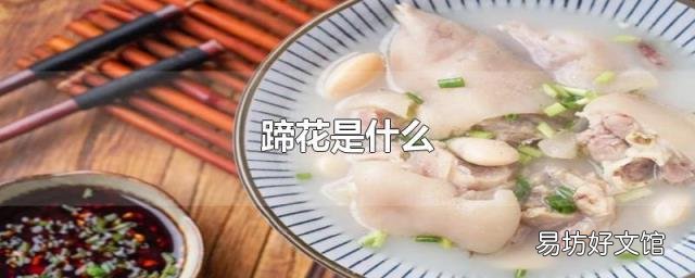蹄花是什么