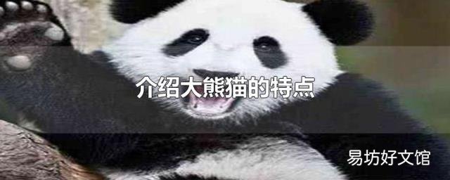 介绍大熊猫的特点