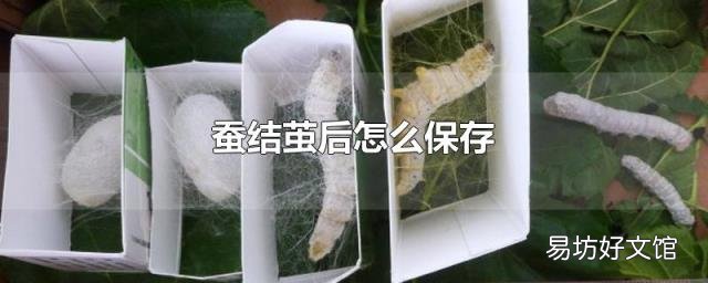 蚕结茧后怎么保存