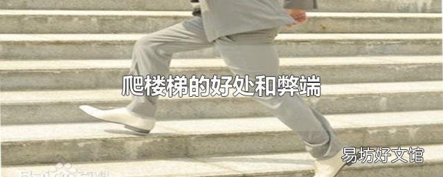 爬楼梯的好处和弊端
