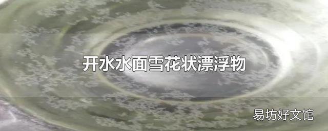 开水水面雪花状漂浮物