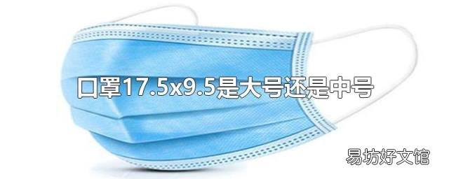 口罩17.5x9.5是大号还是中号