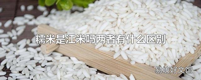 糯米是江米吗两者有什么区别