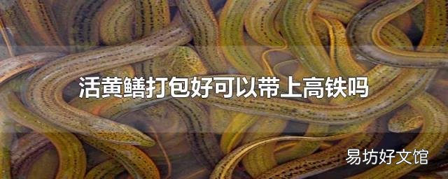 活黄鳝打包好可以带上高铁吗