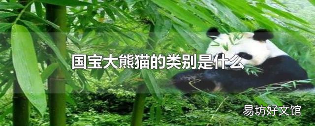 国宝大熊猫的类别是什么