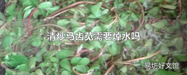 清炒马齿苋需要焯水吗