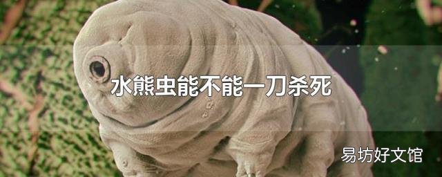 水熊虫能不能一刀杀死