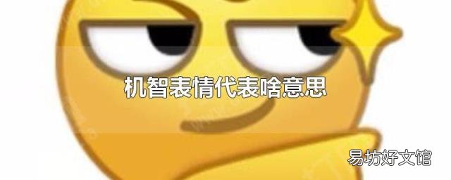 机智表情代表啥意思
