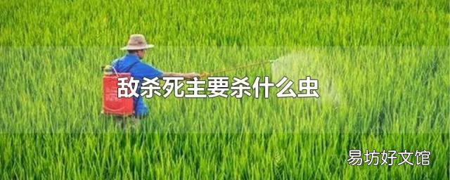敌杀死主要杀什么虫