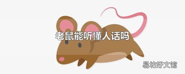老鼠能听懂人话吗
