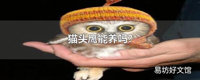 猫头鹰能养吗?