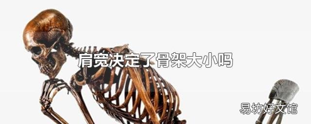 肩宽决定了骨架大小吗