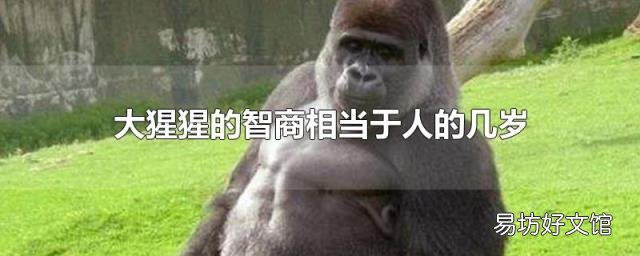 大猩猩的智商相当于人的几岁