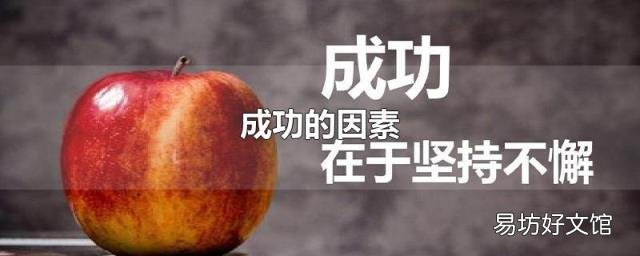 成功的因素