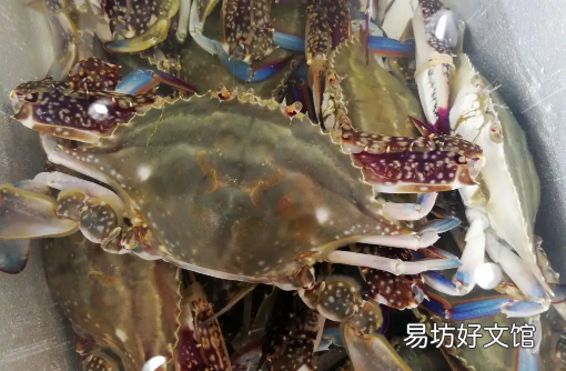 梭子蟹怎么做好吃 梭子蟹买多大的合适