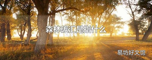 森林碳汇是指什么