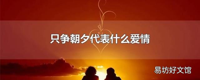 只争朝夕代表什么爱情