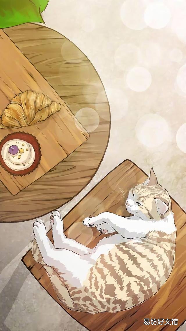小猫的图片(小猫的图片大全)