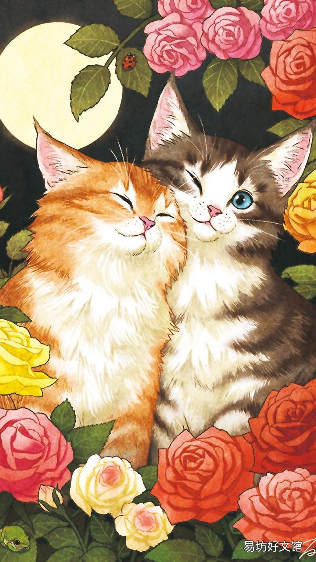 小猫的图片(小猫的图片大全)