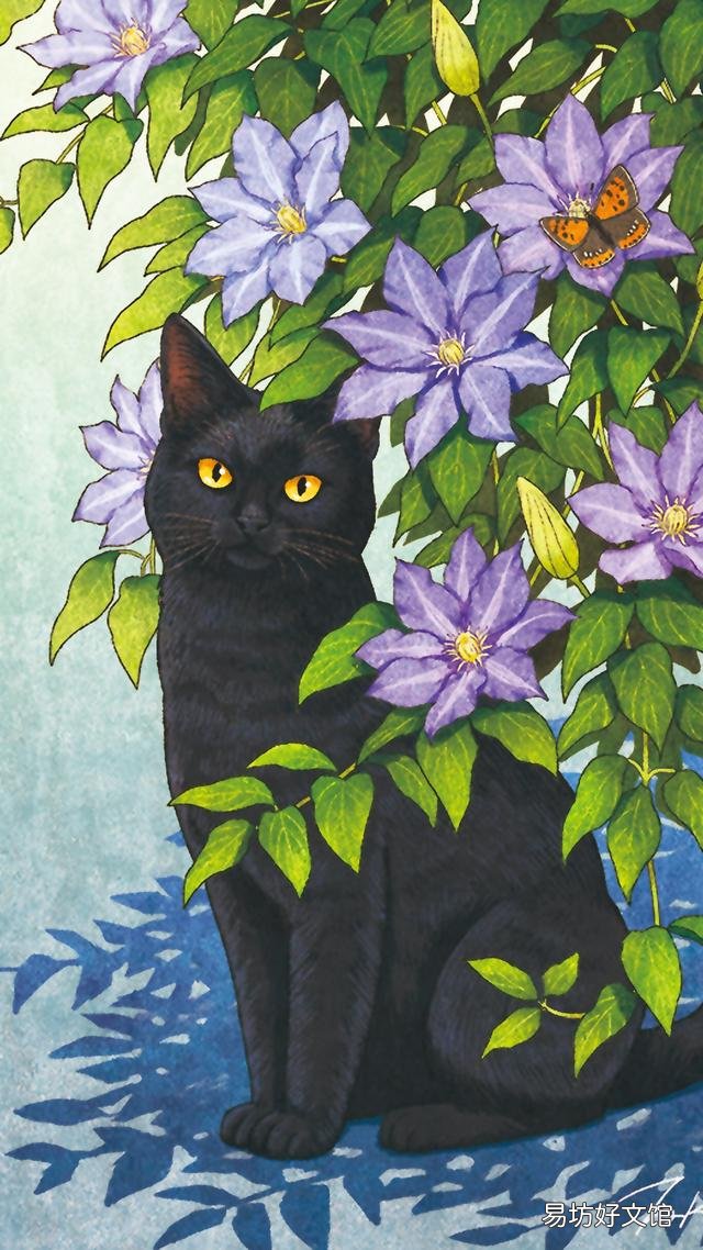 小猫的图片(小猫的图片大全)