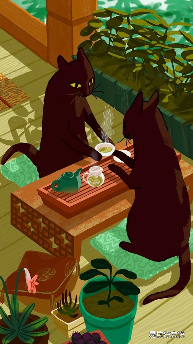 小猫的图片(小猫的图片大全)