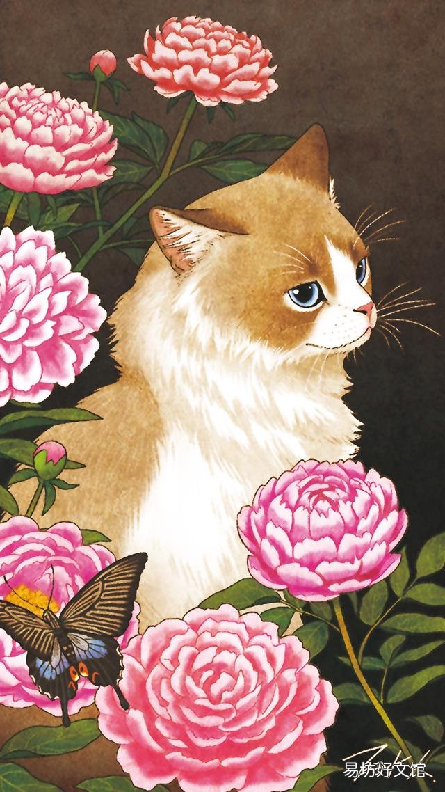 小猫的图片(小猫的图片大全)
