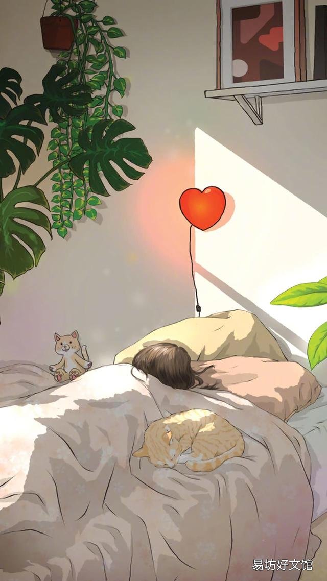 小猫的图片(小猫的图片大全)