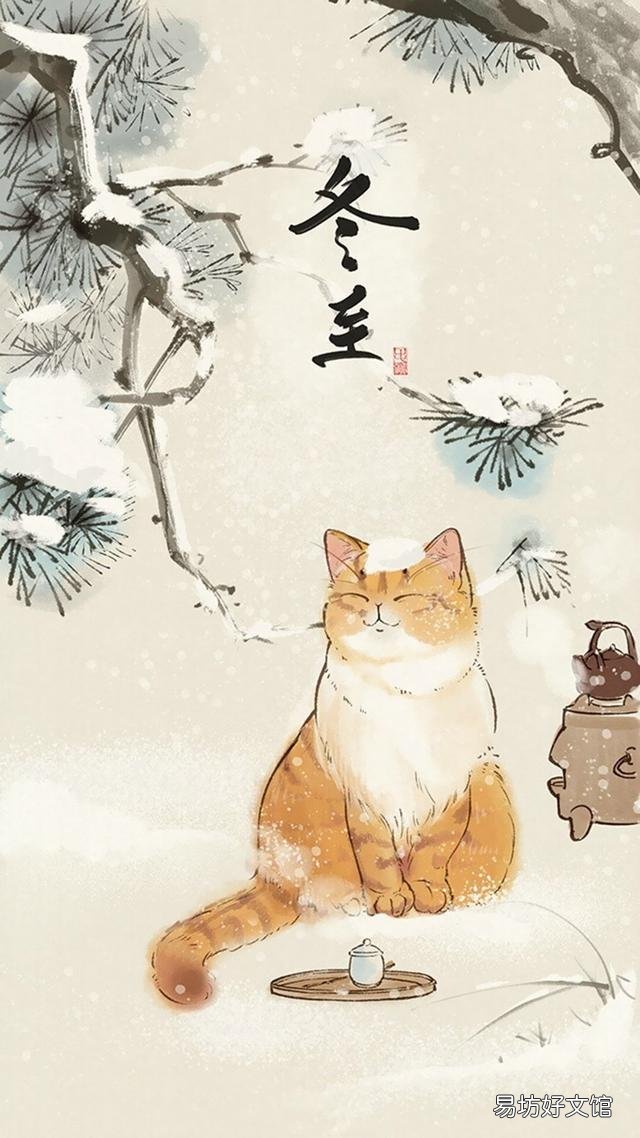 小猫的图片(小猫的图片大全)