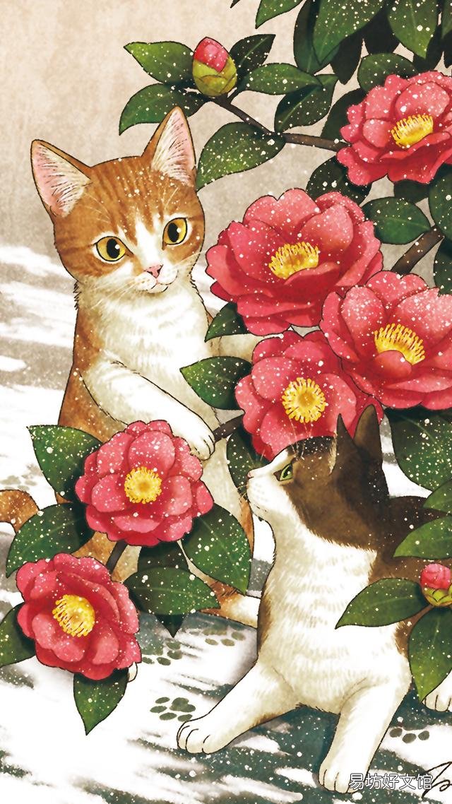 小猫的图片(小猫的图片大全)