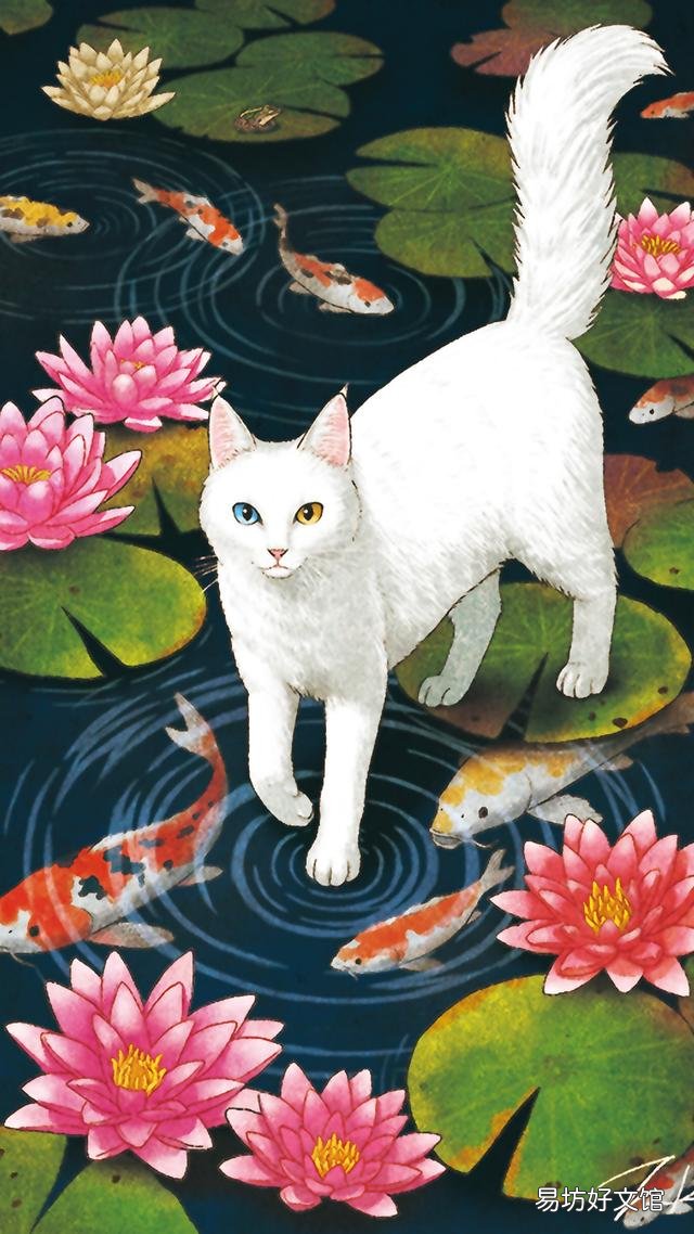 小猫的图片(小猫的图片大全)