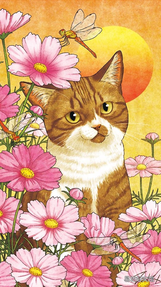 小猫的图片(小猫的图片大全)
