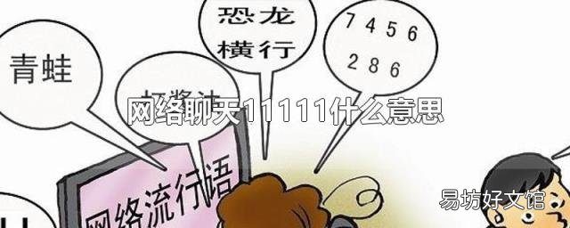 网络聊天11111什么意思
